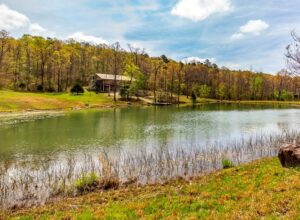 Property photo for land for sale in Searcy County Arkansas