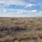 Property photo for land for sale in Torrance County New Mexico