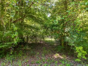 Property photo for land for sale in Dixie County Florida