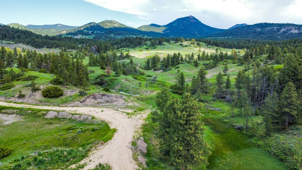 Property photo for land for sale in Phillips County Montana