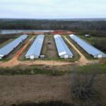 Property photo for land for sale in Jefferson Davis County Mississippi