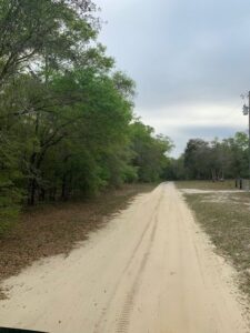 Property photo for land for sale in Lafayette County Florida