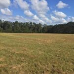 Property photo for land for sale in Pike County Mississippi