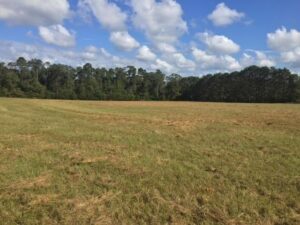 Property photo for land for sale in Pike County Mississippi