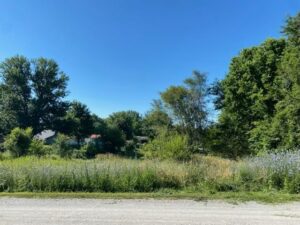 Property photo for land for sale in Ray County Missouri