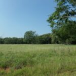 Property photo for land for sale in Red River County Texas