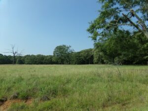 Property photo for land for sale in Red River County Texas