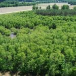 Property photo for land for sale in McNairy County Tennessee