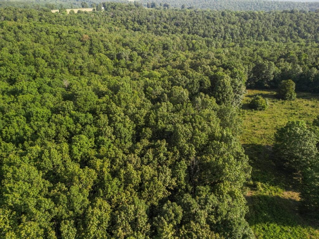 Property photo for land for sale in Ozark County Missouri