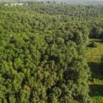 Property photo for land for sale in Ozark County Missouri