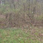 Property photo for land for sale in Otsego County New York