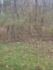 Property photo for land for sale in Otsego County New York