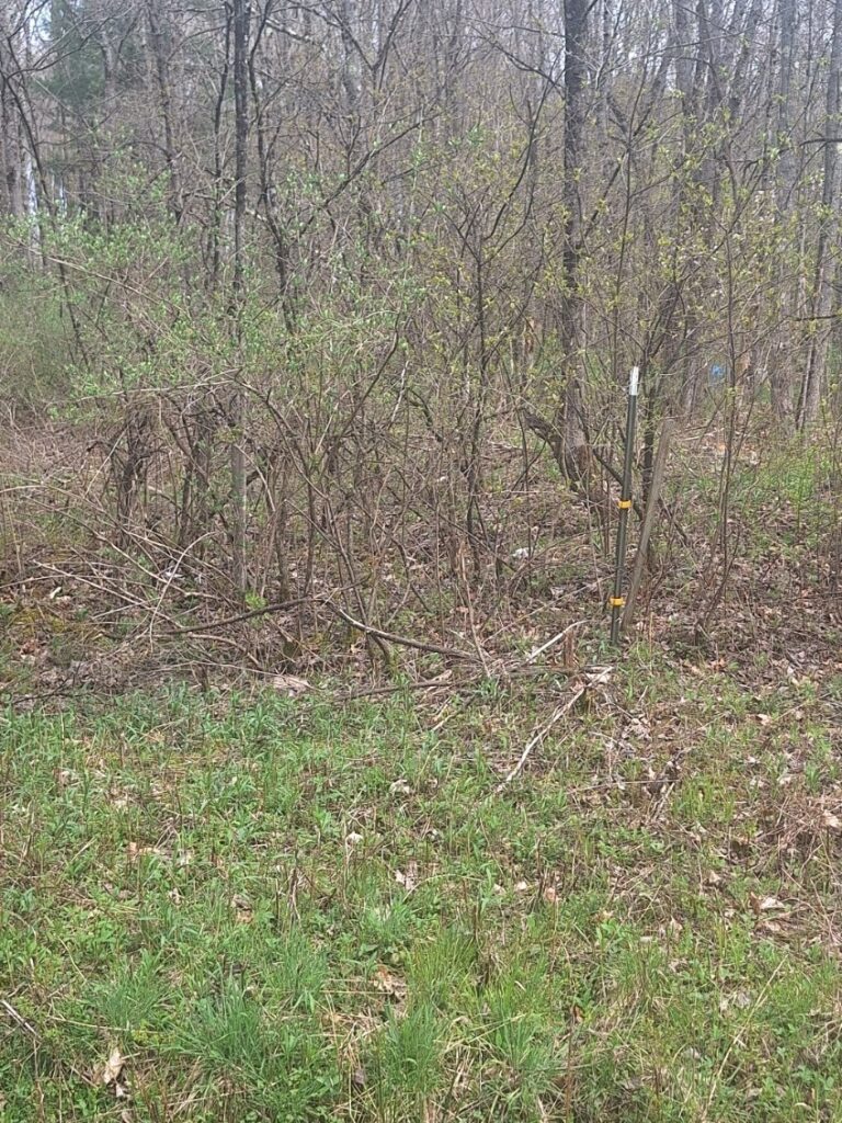 Property photo for land for sale in Otsego County New York