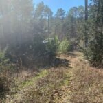 Property photo for land for sale in Cherokee County Texas