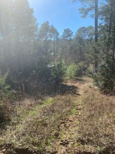 Property photo for land for sale in Cherokee County Texas