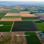 Property photo for land for sale in Montrose County Colorado