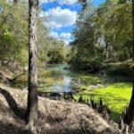 Property photo for land for sale in Jefferson Davis County Louisiana