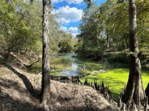 Property photo for land for sale in Jefferson Davis County Louisiana