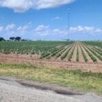 Property photo for land for sale in Tom Green County Texas