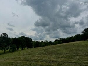 Property photo for land for sale in Greene County Tennessee