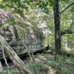 Property photo for land for sale in Boone County Arkansas