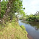 Property photo for land for sale in DeSoto County Florida