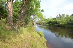 Property photo for land for sale in DeSoto County Florida