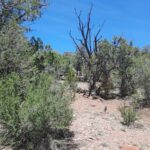 Property photo for land for sale in Yavapai County Arizona