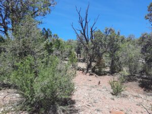 Property photo for land for sale in Yavapai County Arizona