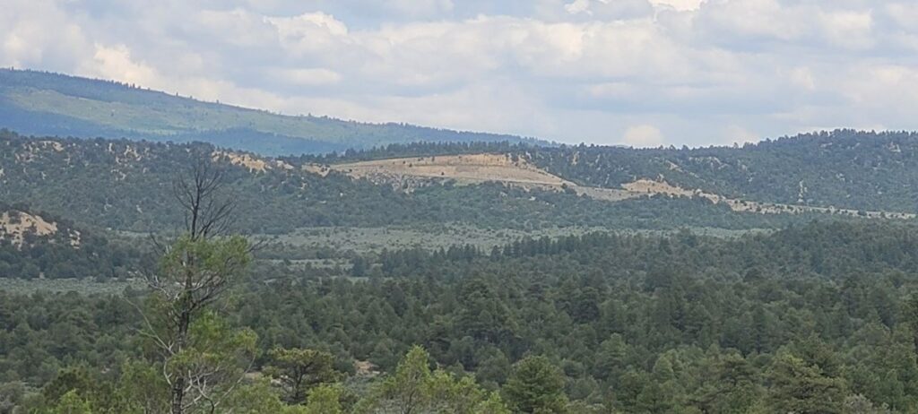 Property photo for land for sale in Rio Arriba County New Mexico