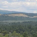 Property photo for land for sale in Rio Arriba County New Mexico