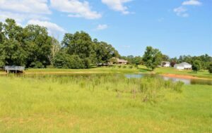 Property photo for land for sale in Pike County Mississippi