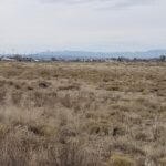 Property photo for land for sale in Torrance County New Mexico