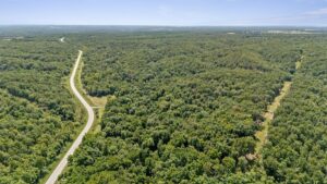 Property photo for land for sale in Delaware County Oklahoma