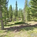 Property photo for land for sale in Larimer County Colorado