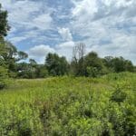 Property photo for land for sale in Cherokee County Texas