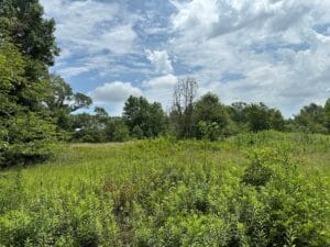 Property photo for land for sale in Cherokee County Texas