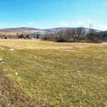 Property photo for land for sale in Tioga County Pennsylvania