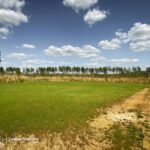 Property photo for land for sale in Davidson County North Carolina