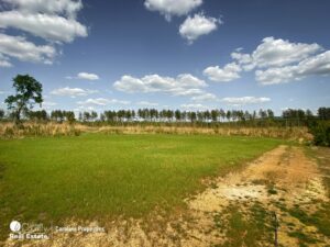 Property photo for land for sale in Davidson County North Carolina