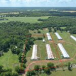 Property photo for land for sale in Upshur County Texas