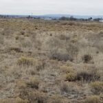 Property photo for land for sale in Torrance County New Mexico