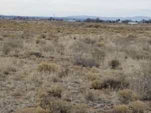 Property photo for land for sale in Torrance County New Mexico