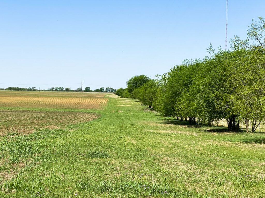 Property photo for land for sale in McLennan County Texas