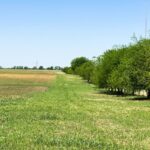 Property photo for land for sale in McLennan County Texas