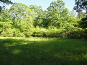 Property photo for land for sale in Amite County Mississippi