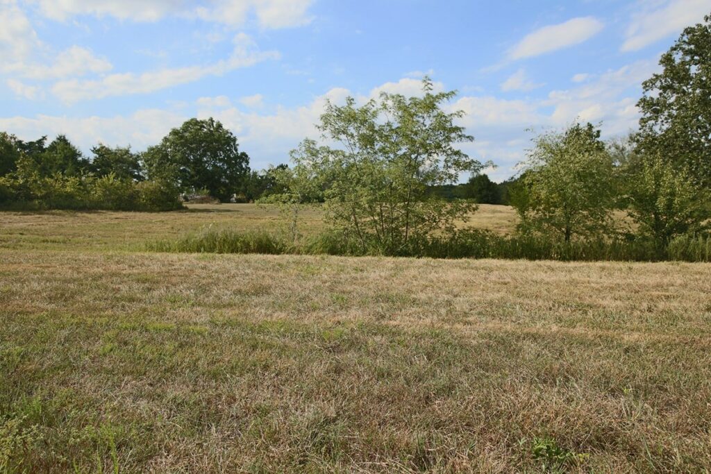 Property photo for land for sale in Howell County Missouri