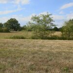 Property photo for land for sale in Howell County Missouri