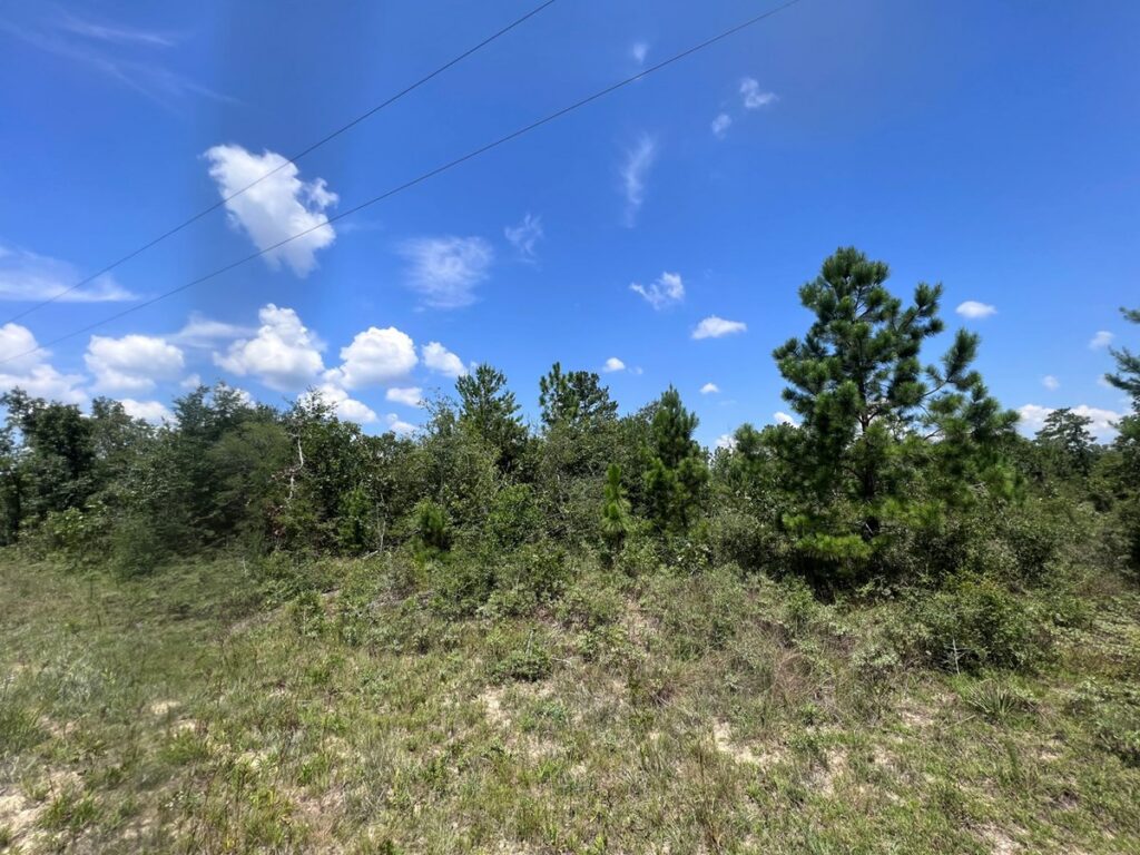 Property photo for land for sale in Washington County Florida