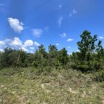 Property photo for land for sale in Washington County Florida